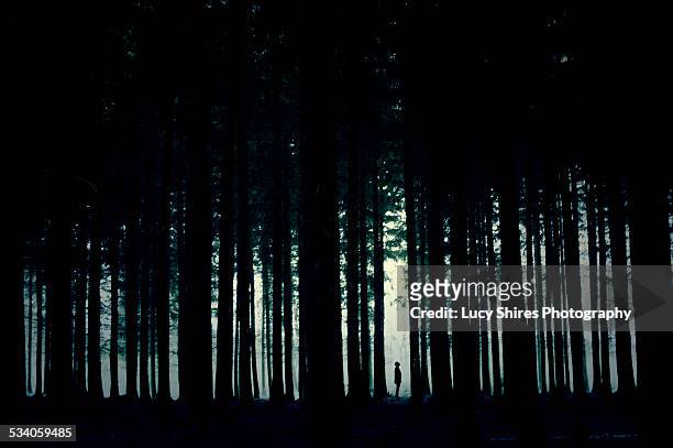 silhouetted figure in forest with moonlight - lucy shires stock-fotos und bilder