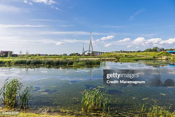 wetlands near the normandy bridge - pont de normandie stock pictures, royalty-free photos & images