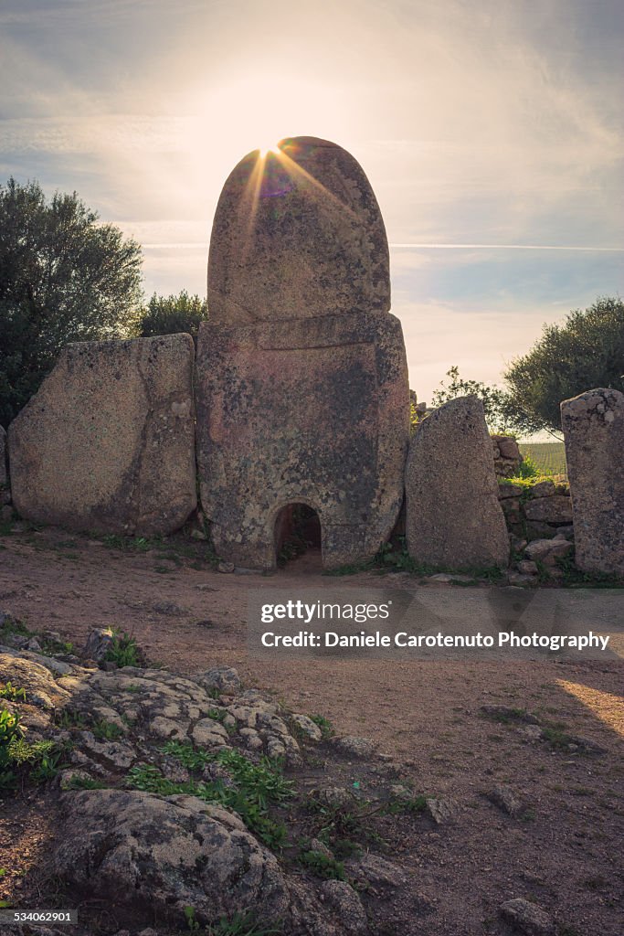 Giants' grave: Lu Coddu Ecchju