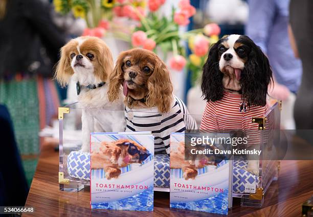 Toast and friends pose at the Jonathan Adler Toasts @ToastMeetsWorld At The Launch Of TOASTHAMPTON on May 24, 2016 in New York City.