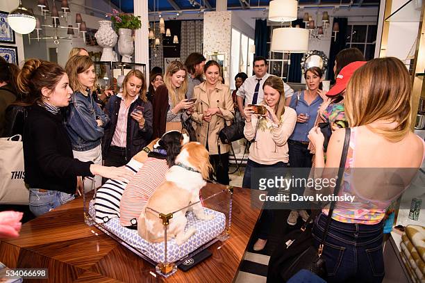 Toast and friends pose at the Jonathan Adler Toasts @ToastMeetsWorld At The Launch Of TOASTHAMPTON on May 24, 2016 in New York City.