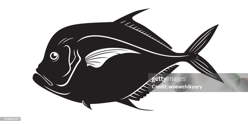 Selene fish vector
