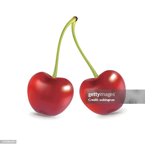 cherry - succulent macro stock illustrations