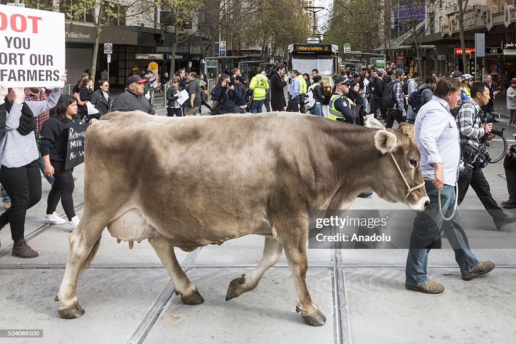 Protest for milk price in Melbourne