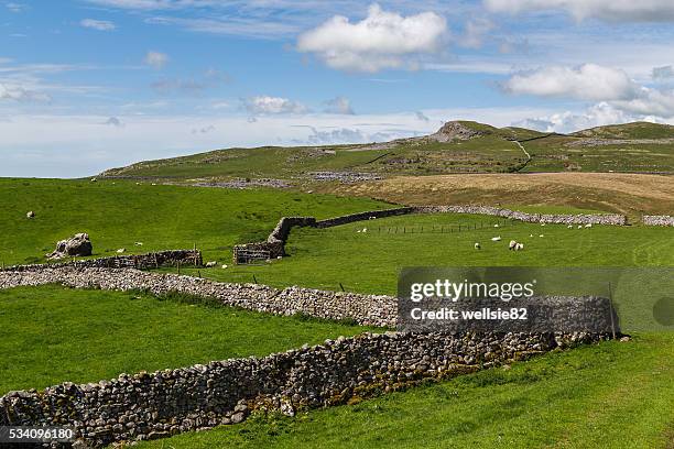 74 Ingleton Waterfalls Trail Stock Photos, High-Res Pictures, and ...