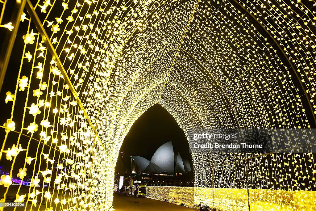 Royal Botanic Garden Turns Into a Garden Of Light For Vivid Sydney
