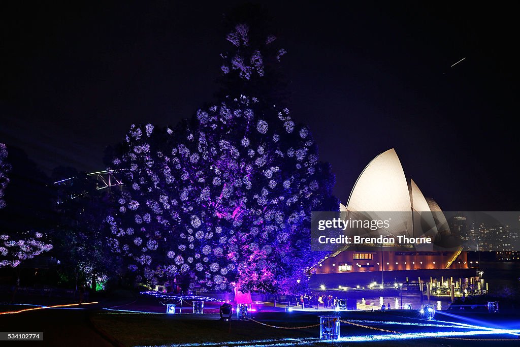 Royal Botanic Garden Turns Into a Garden Of Light For Vivid Sydney
