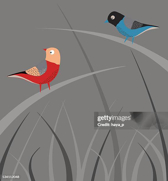blue and red bird sitting on a grass - tall grass stock illustrations