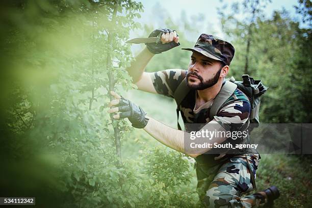 Skulking Example 77 Skulking Stock Photos, High-Res Pictures, and Images - Getty Images