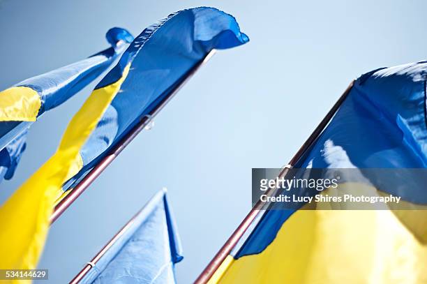 the state flag of ukraine on independence day. - ukraine war stock-fotos und bilder