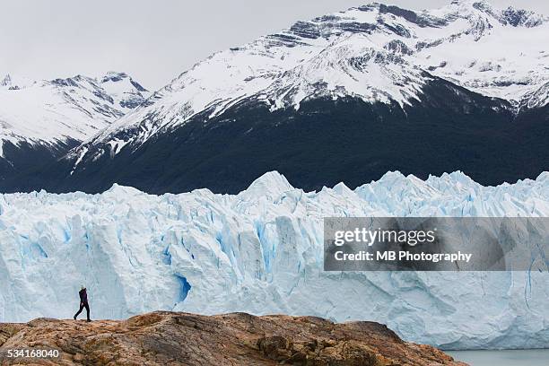 perito moreno glacier, patagonia. - lake argentina stock pictures, royalty-free photos & images