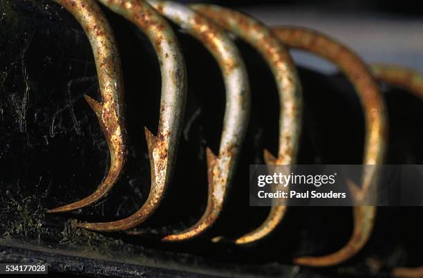 45 Rusty Fish Hook Stock Photos, High-Res Pictures, and Images