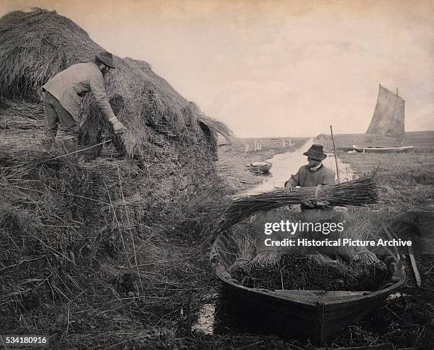 Ricking the Reed by Peter Henry Emerson