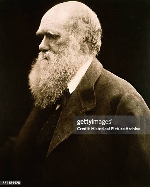 Portrait of Charles Darwin by Julia Margaret Cameron