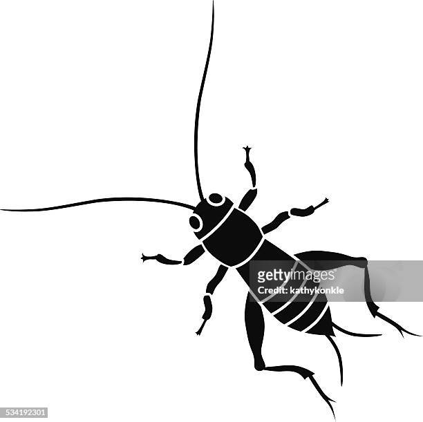 cricket insect in black and white - cricket insect 幅插畫檔、美工圖案、卡通及圖標