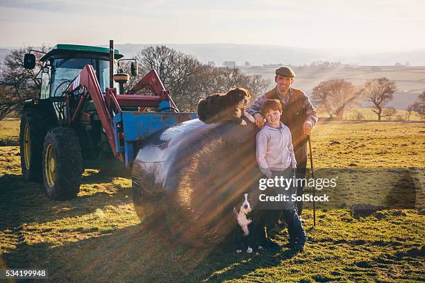 keeping it in the family - ensilage bildbanksfoton och bilder