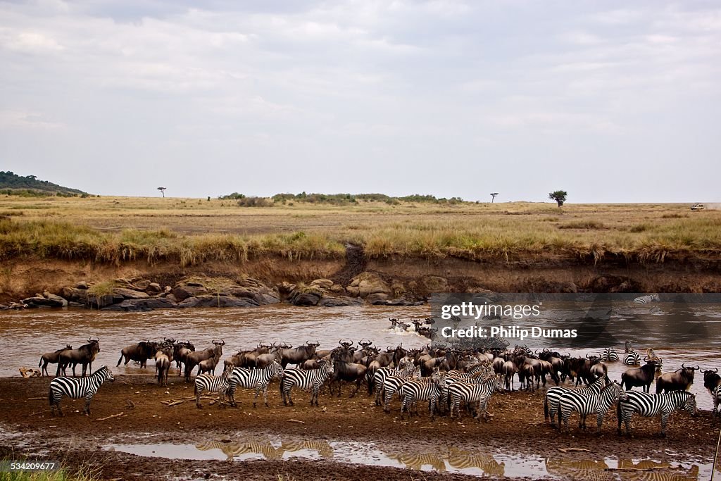 Crossing the Mara