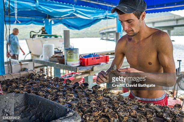The farming and processing of mussels for domestic - and now European Union-wide markets - is a growing industry along Croatia"s Adriatic coast.