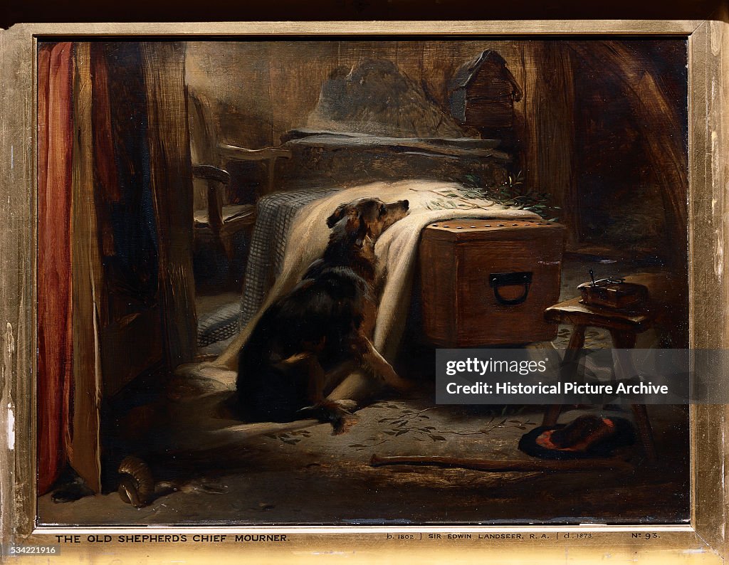 The Old Shepherd's Chief Mourner by Edwin Landseer