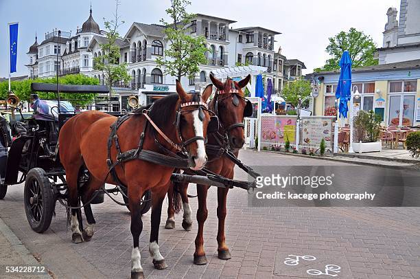 carriage on the promenade of ahlbeck, usedom island - blaze pattern animal marking stock pictures, royalty-free photos & images