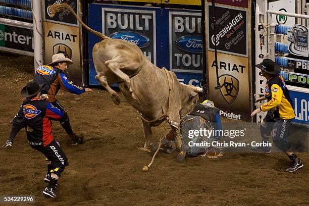 Bull Rider Back Number 259 Bull Riders Night Stock Photos, High-Res Pictures, and Images ...