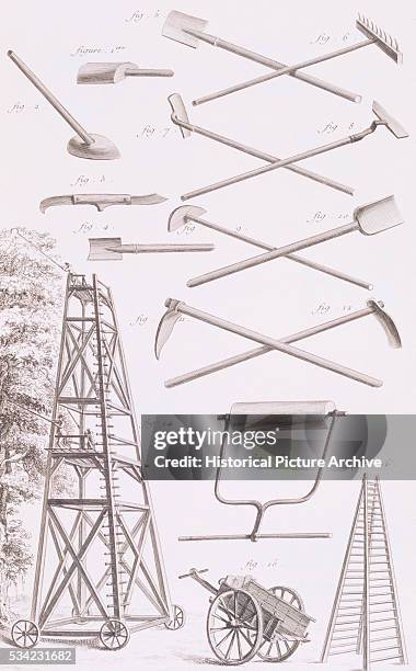 2,007 What Is A Tree Diagram Stock Photos, High-Res Pictures, and ...