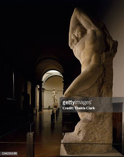 Galleria dell'Accademia, Florence, Italy