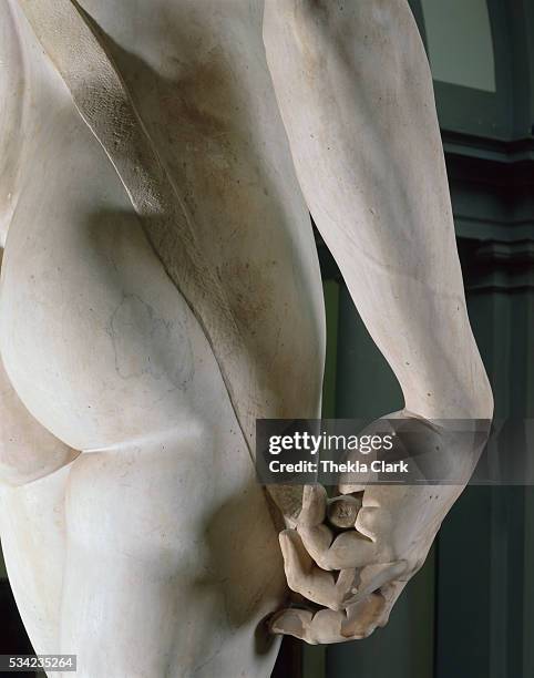 Detail of David by Michelangelo