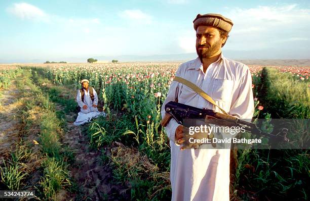 Standing guard while another attends evening prayers, Pashtun farmers on the border with Pakistan, keep a close watch over their fields of opium...