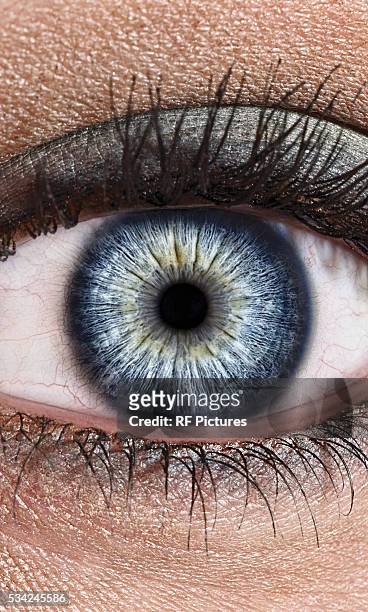 close-up of female eye with make-up - eye make up ストックフォトと画像