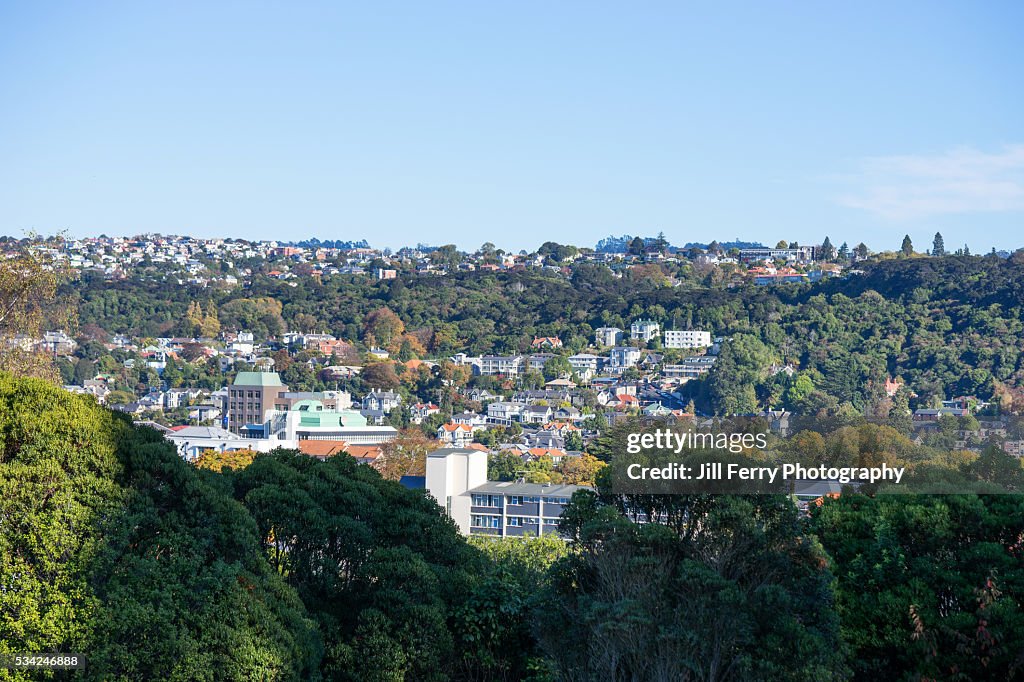 North Dunedin