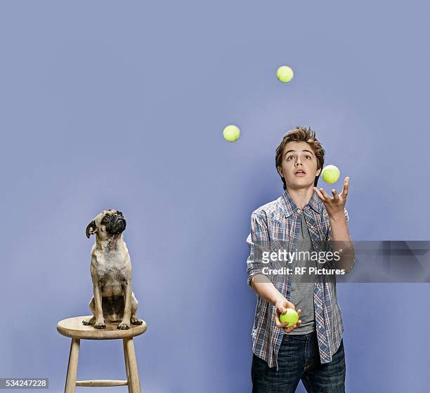 portrait of juggling boy (13-15) and dog sitting on chair - malabarismo imagens e fotografias de stock