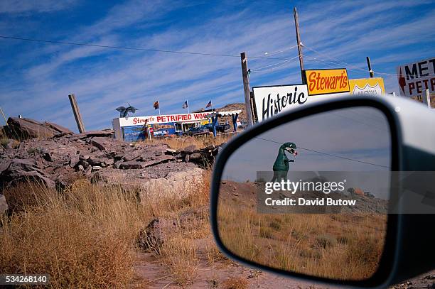 Arizona: Stewart's Petrified Wood of Arizona.