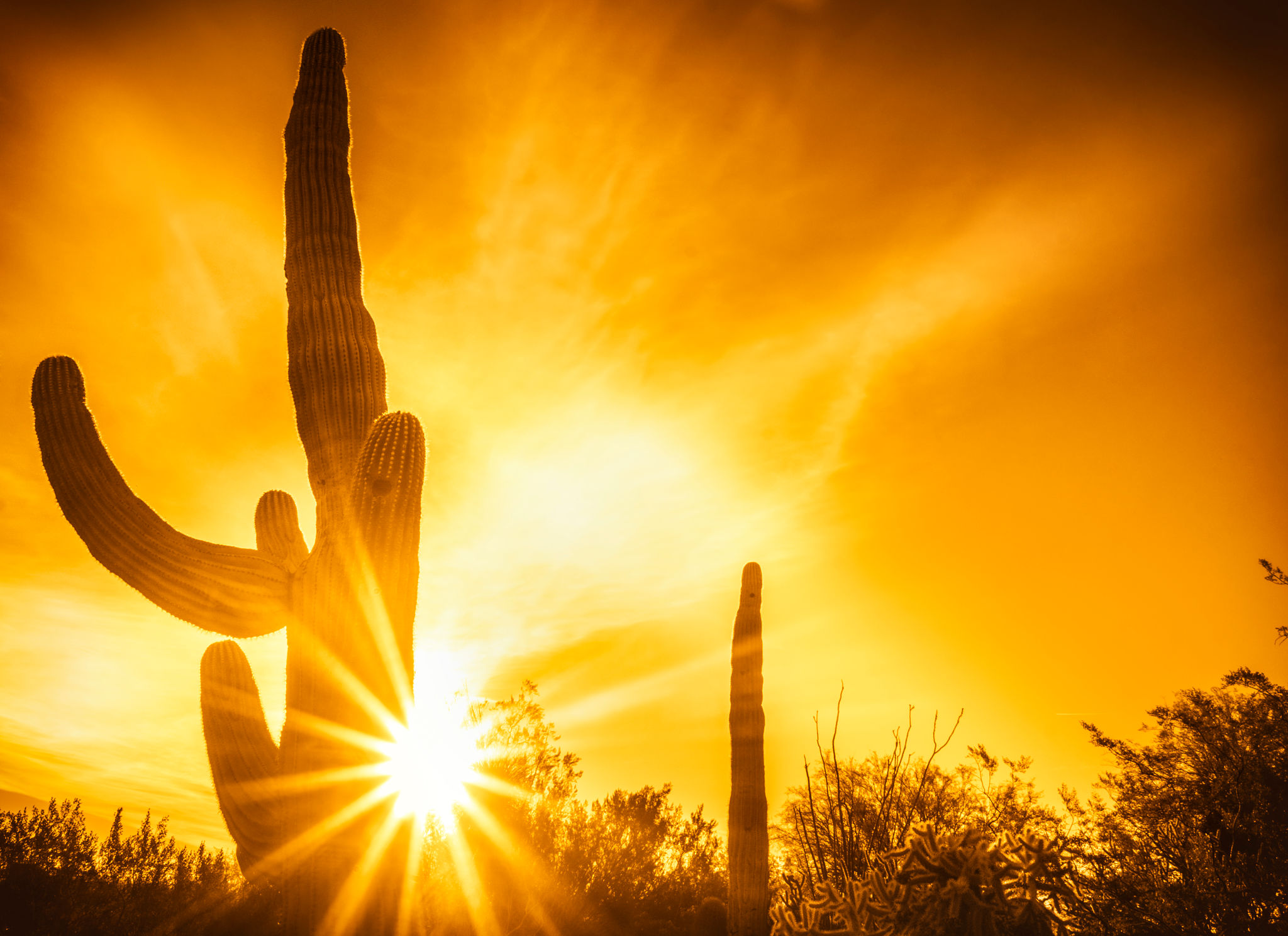 phoenix heat