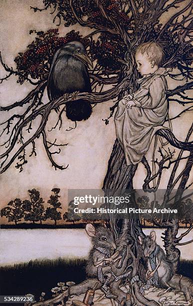 Put His Strange Case Before Old Solomon Caw by Arthur Rackham