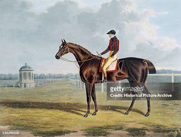 "This 1825 aquatint is from Portraits of the Winning Horses of the Great St. Leger Stakes, a portfolio of prints after paintings by John Frederick...