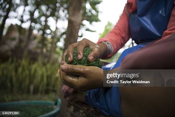 An employee makes balls of elephant dung fiber at Elephant "PooPooPaper" Park on May 24, 2016 in Mae Rim, Thailand. Elephant "PooPooPaper" Park is an...