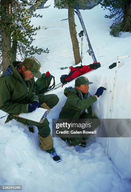 Forest Ranger Snow Forest Ranger Photos and Premium High Res Pictures - Getty Images