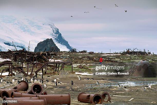 bomb damage on thule island - inselgruppe south sandwich islands stock-fotos und bilder