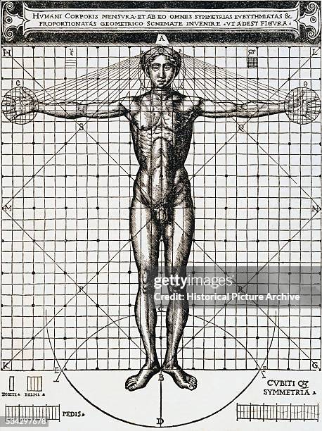 Vitruvius Woodcut Illustration of Human Body Proportions on Grid by Cesare Cesariano