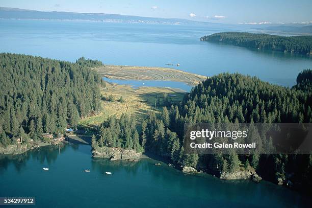aerial view of kachemak bay wilderness lodge - cook inlet stock pictures, royalty-free photos & images