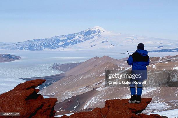 geologist in antarctica - climate scientist stock pictures, royalty-free photos & images