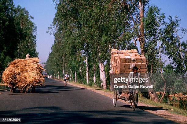 Boxed Rickshaw 157 Box Rickshaw Stock Photos, High-Res Pictures, and Images - Getty Images
