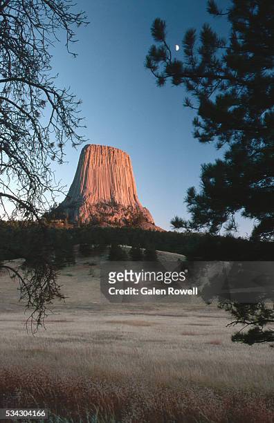devils tower in wyoming - devils tower stock pictures, royalty-free photos & images
