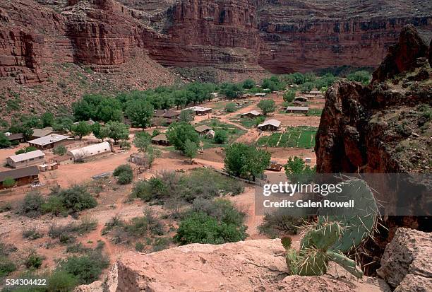 overview of supai village in grand canyon - supai 個照片及圖片檔