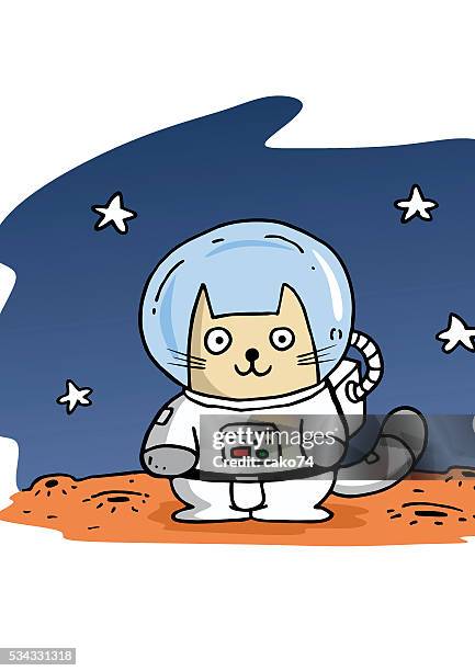 Astronaut cat