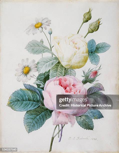 359 Pj Rose Photos & High Res Pictures - Getty Images