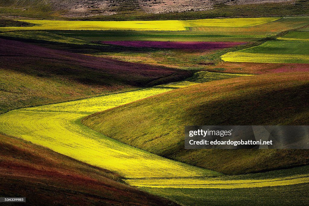 Surreal landscape