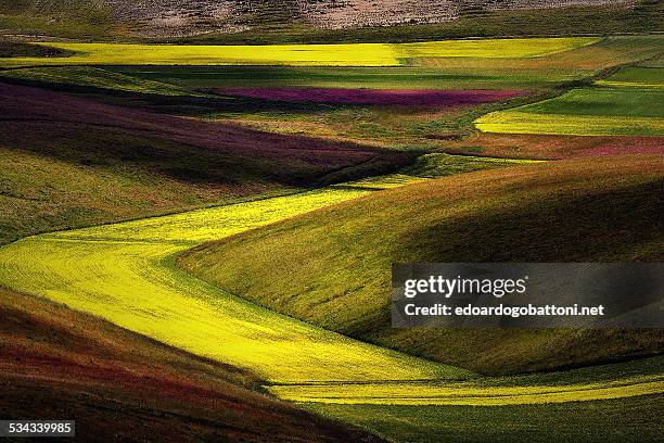 surreal landscape - edoardogobattoninet stock pictures, royalty-free photos & images