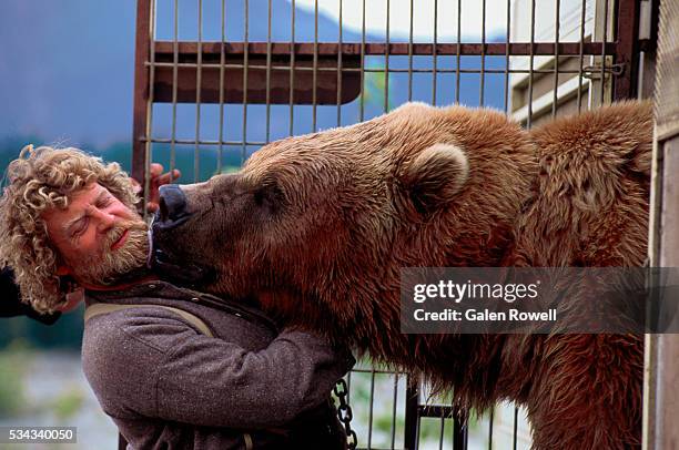 alaskan brown bear kisses trainer - kodiak brown bear stock pictures, royalty-free photos & images